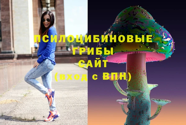 метамфетамин Алексин