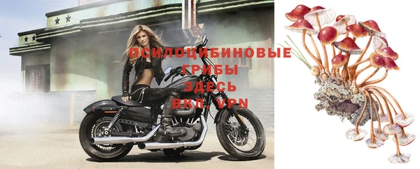 герыч Алексеевка
